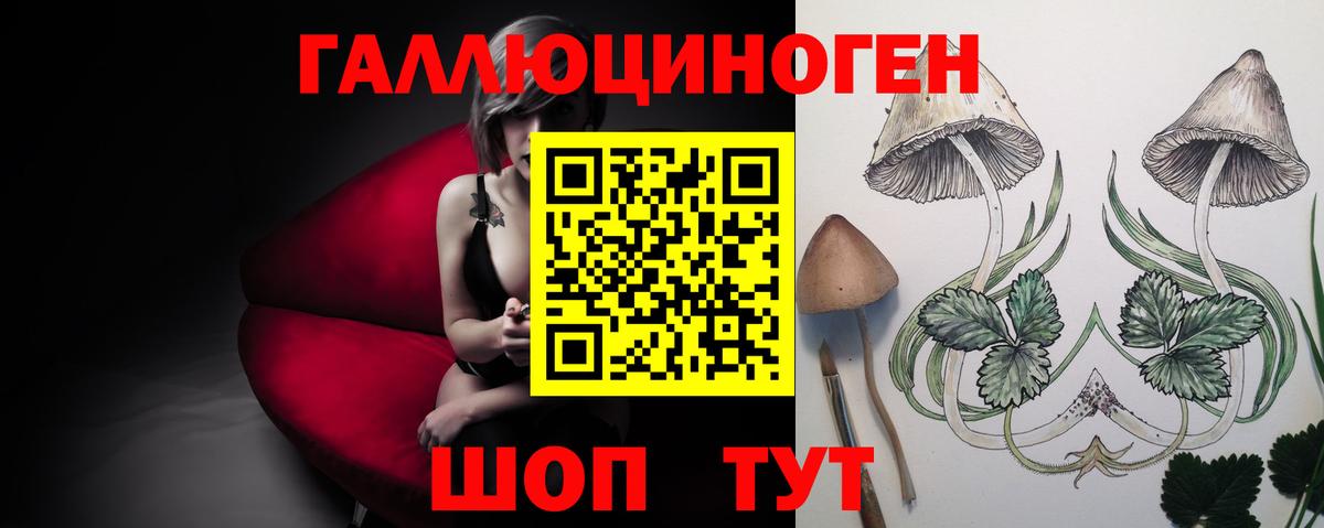 Псилоцибиновые грибы мицелий Богданович